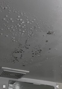 Mold in the bathroom ceiling. It was like that when I arrived.