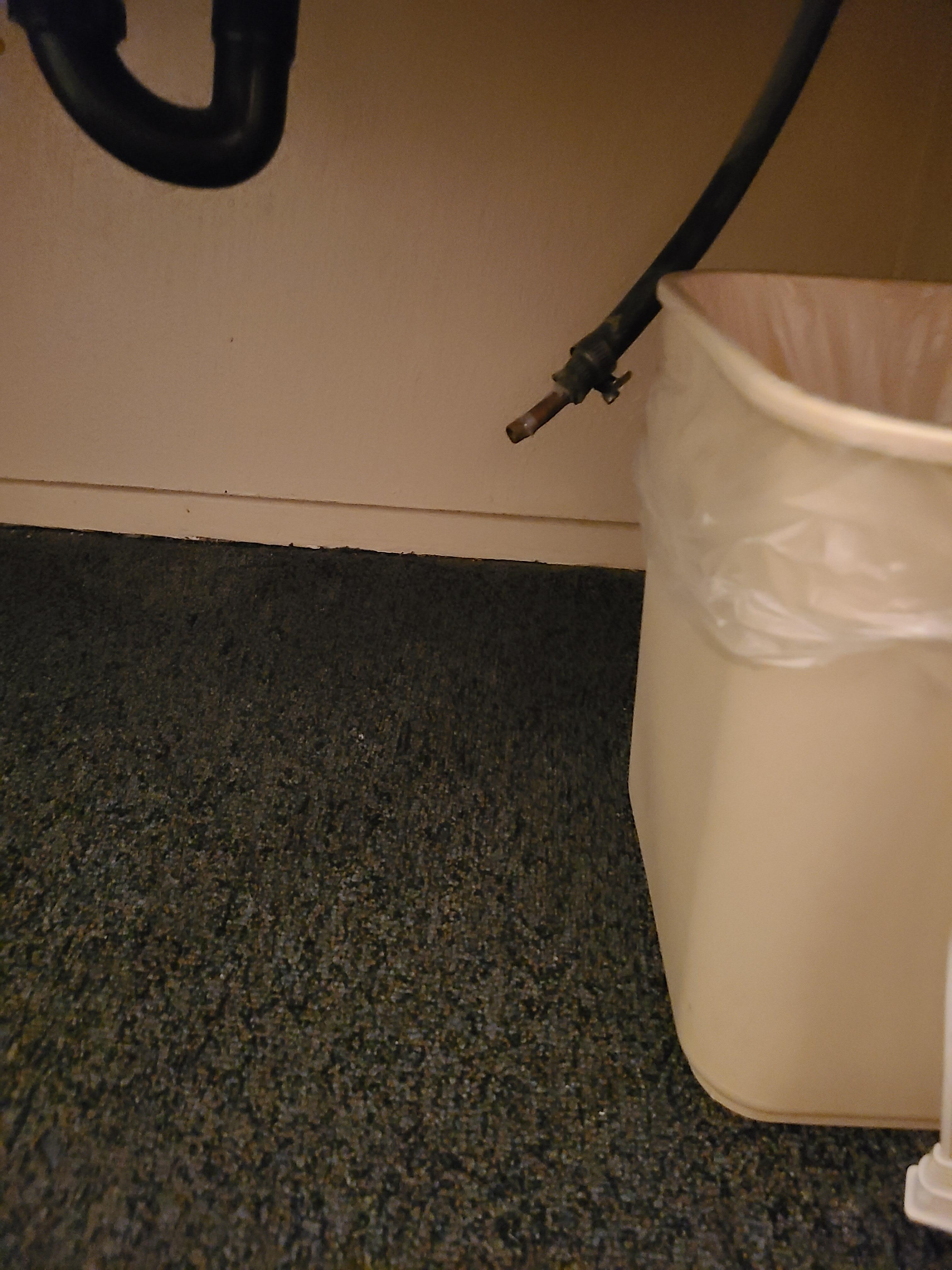The hose from the sink in the bathroom they disconnected 