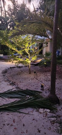 Is this Gilligans Island?