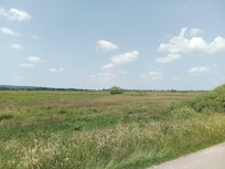 Landschaft am Steinhuder Meer, nahe dem Strorchennest