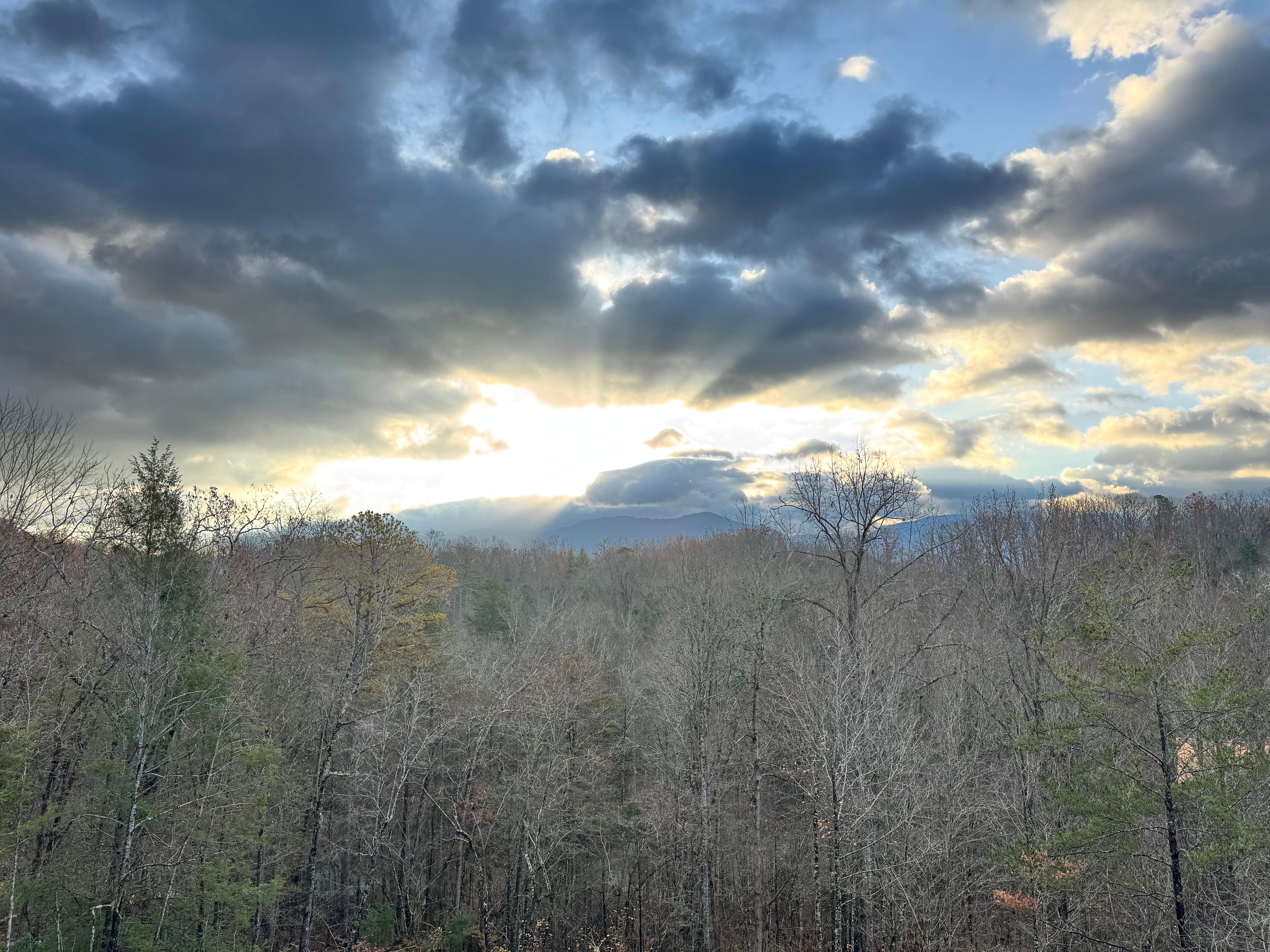 Mid morning 2nd floor deck 