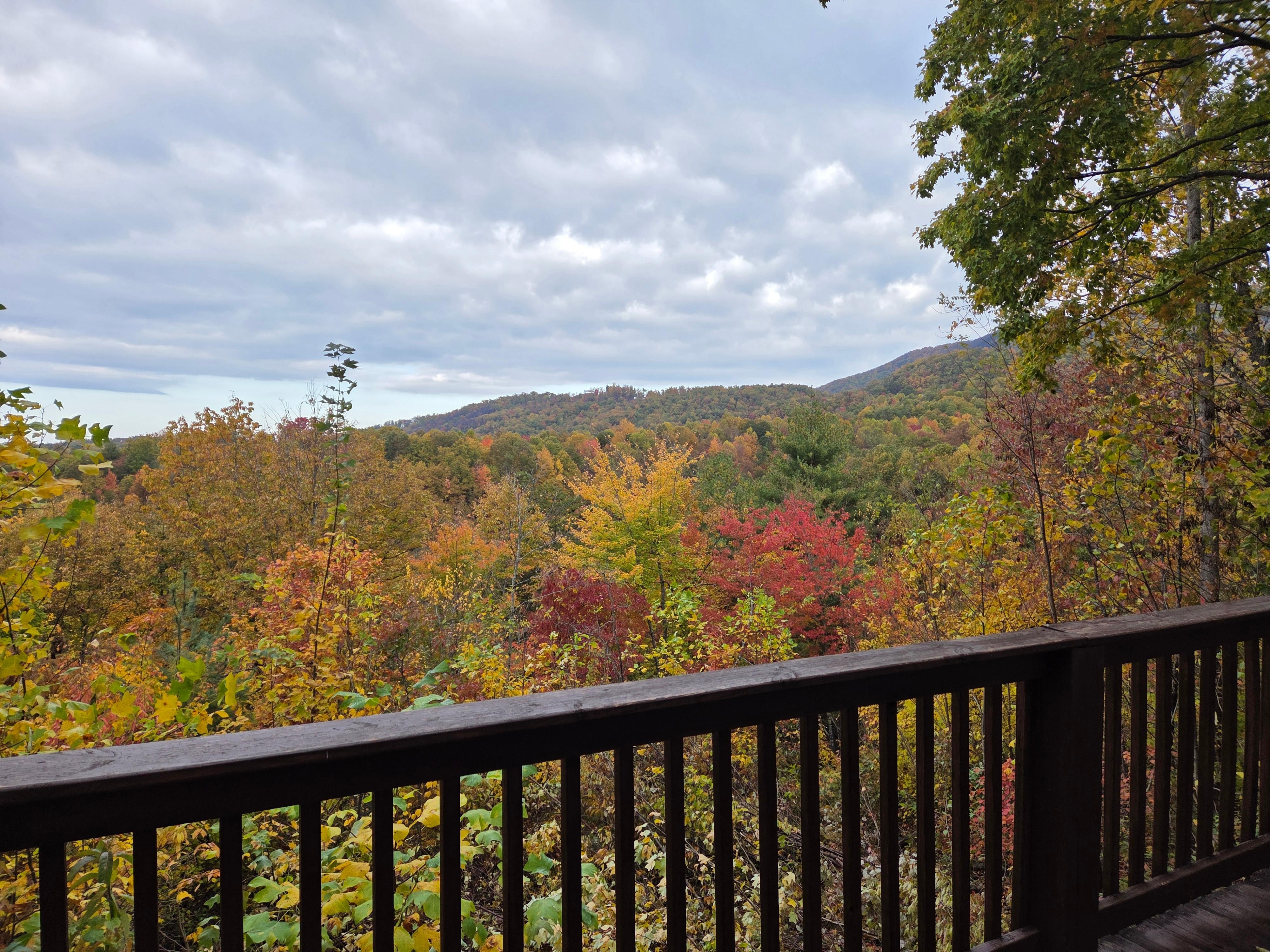 View from the back porch