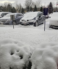 New Years Eve snow storm but driveway and walkways were cleared