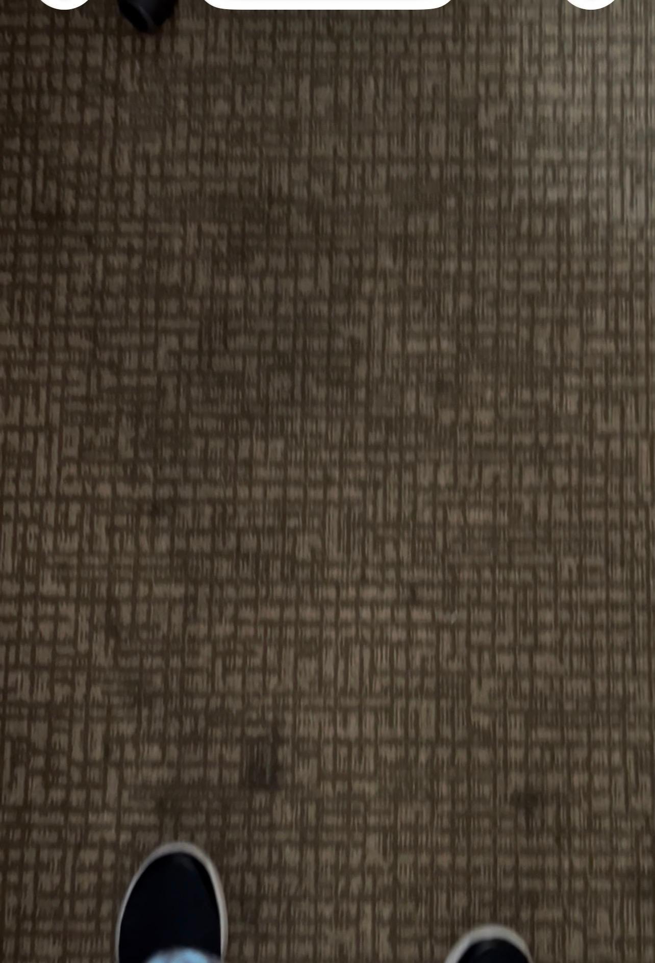 The carpet in our room.