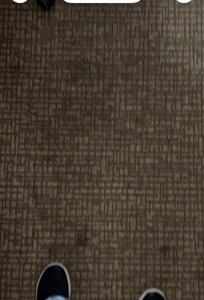 The carpet in our room.