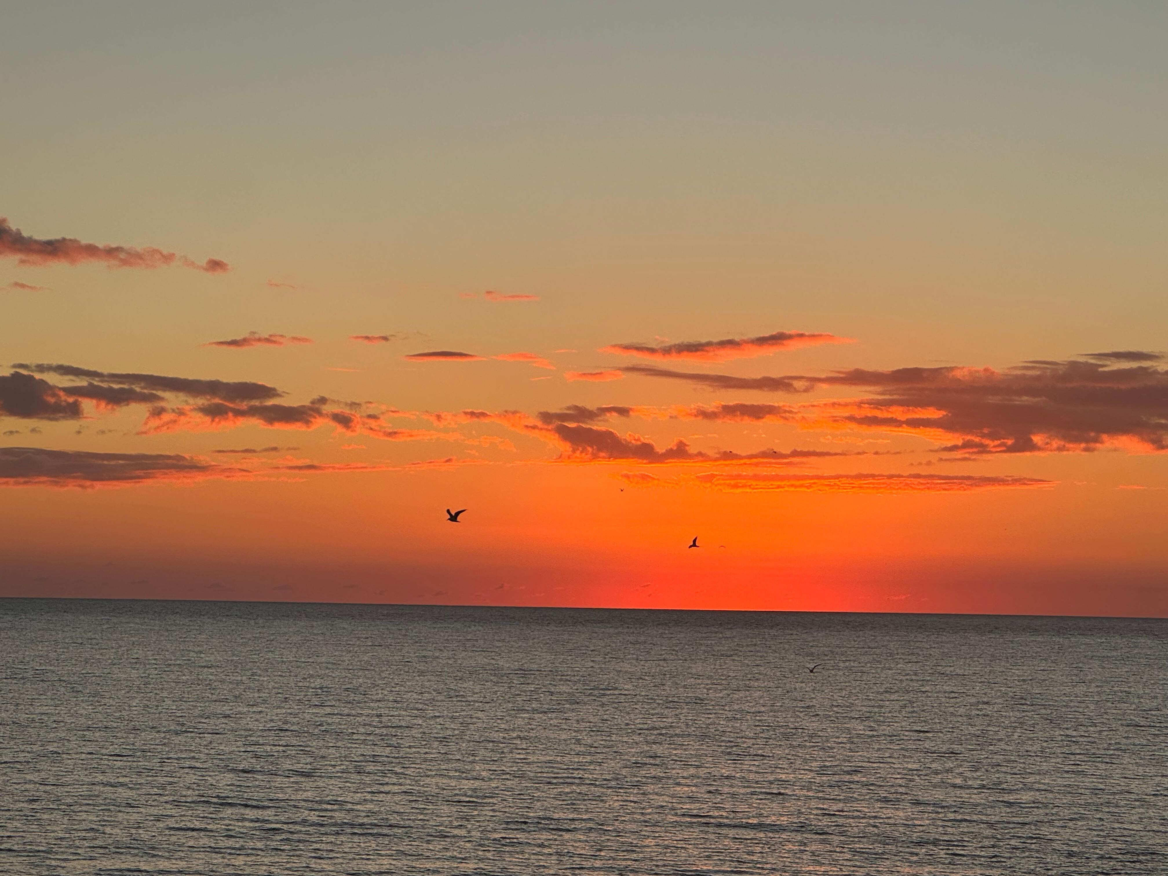 A few pictures from the balcony 