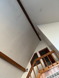 Spider webs, poor paint job