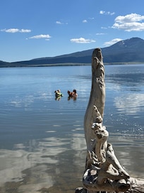 even the dogs loved the water!
