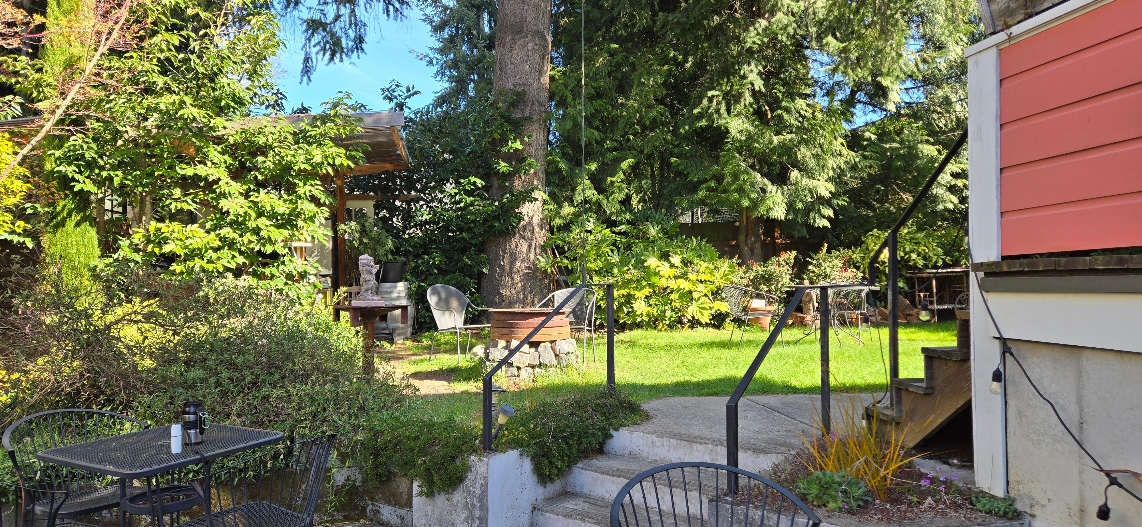 Back yard