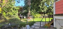 Back yard