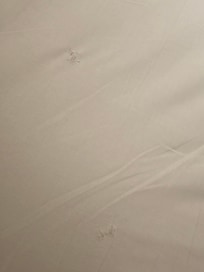 Holes in sheets