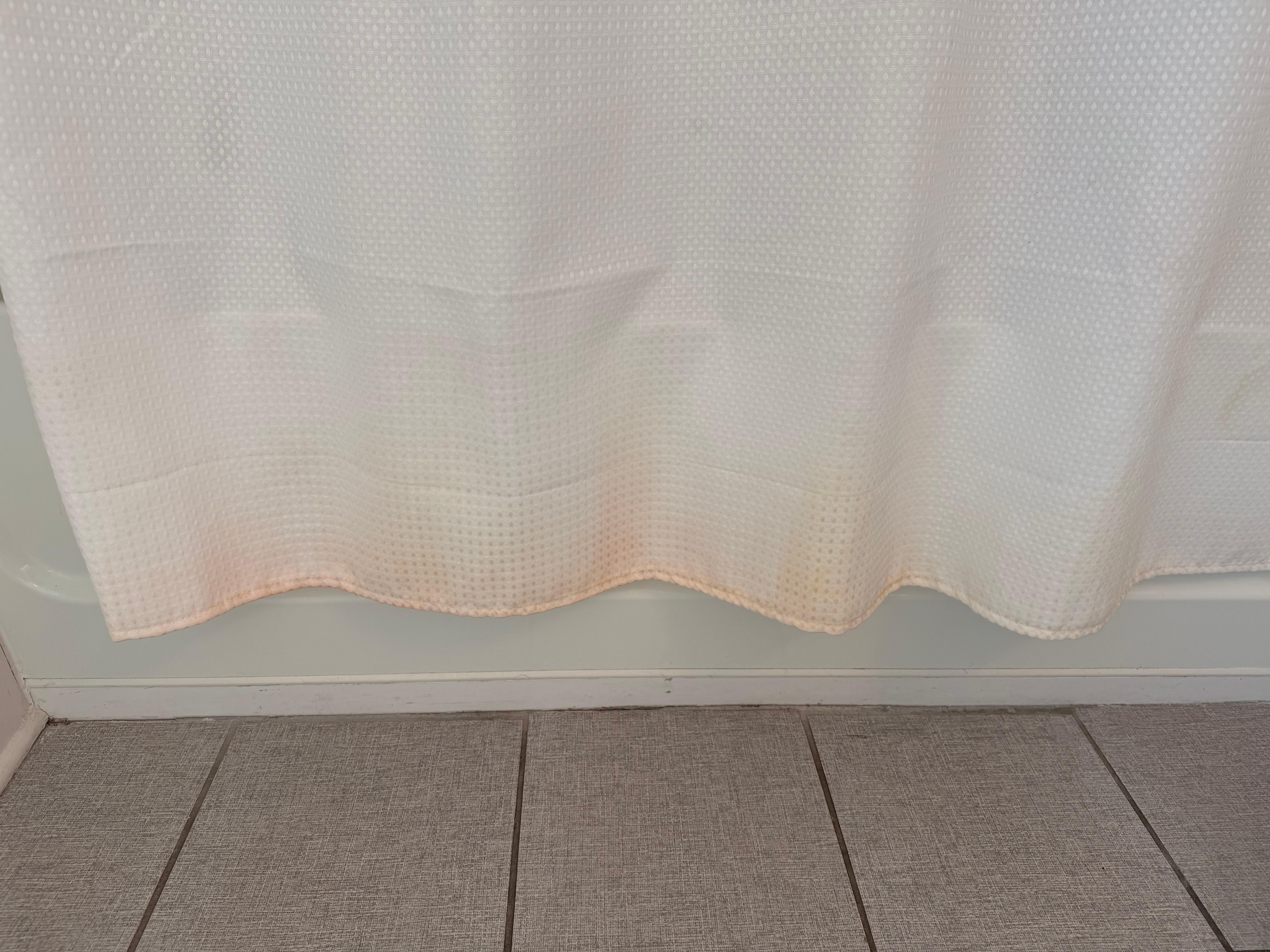 Shower curtain disgusting 