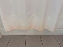 Shower curtain disgusting