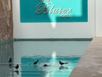 The Blater bird bath