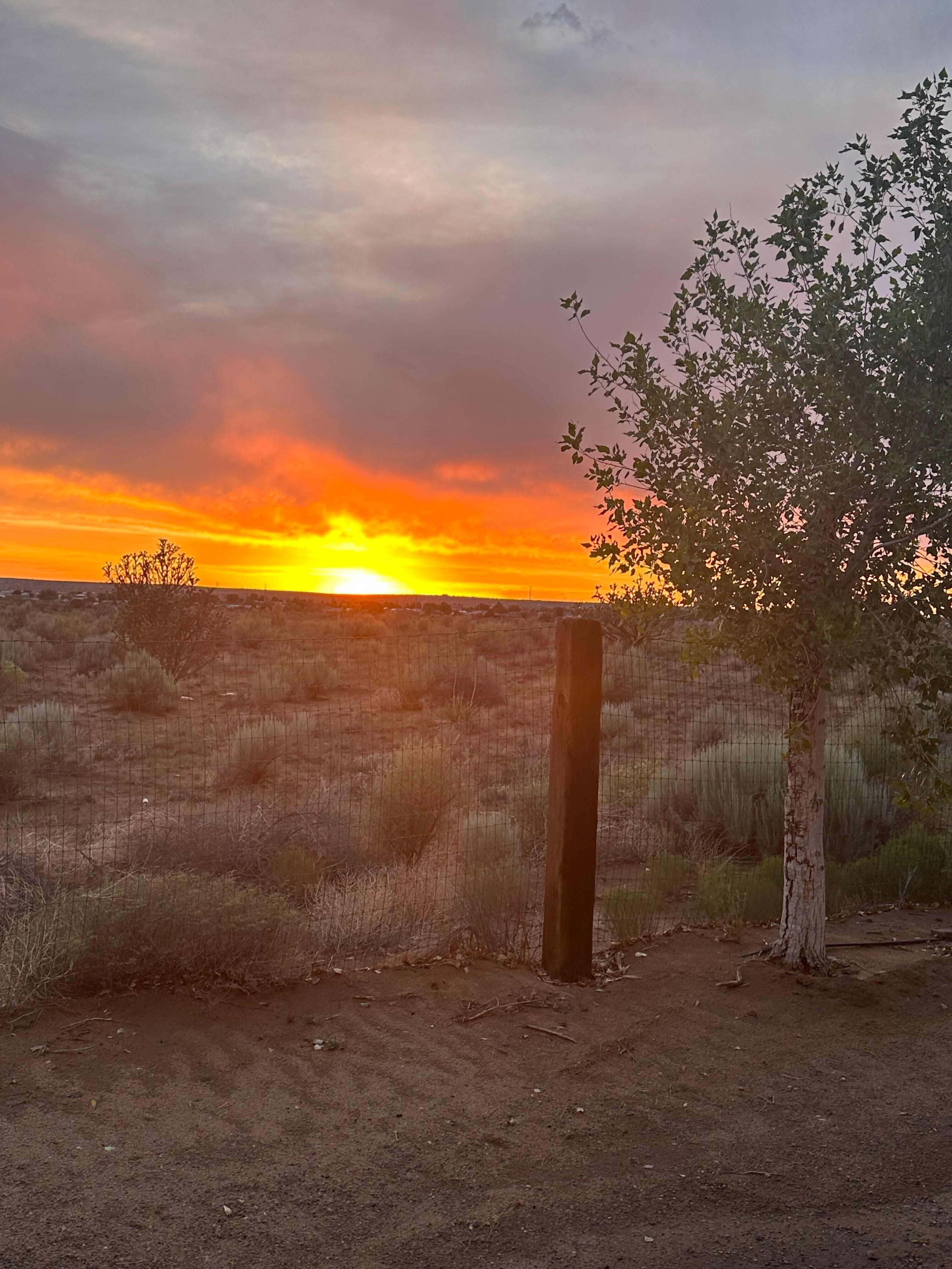 The view from our patio. 