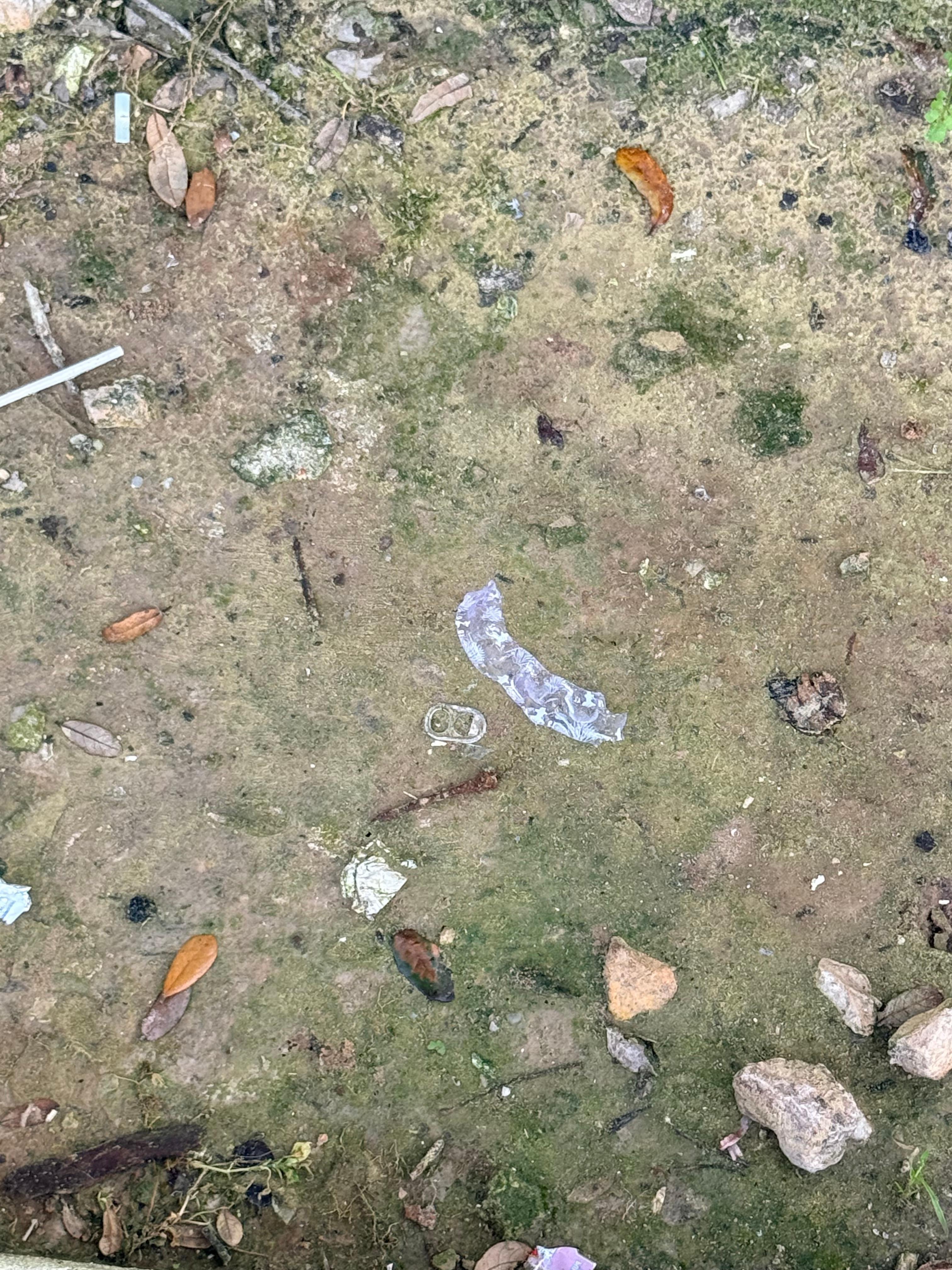 Plastic, trash, broken glass, rusted bottle cap tops, the entire yard was unsafe for our kids to run around let alone walk without safe shoes. 