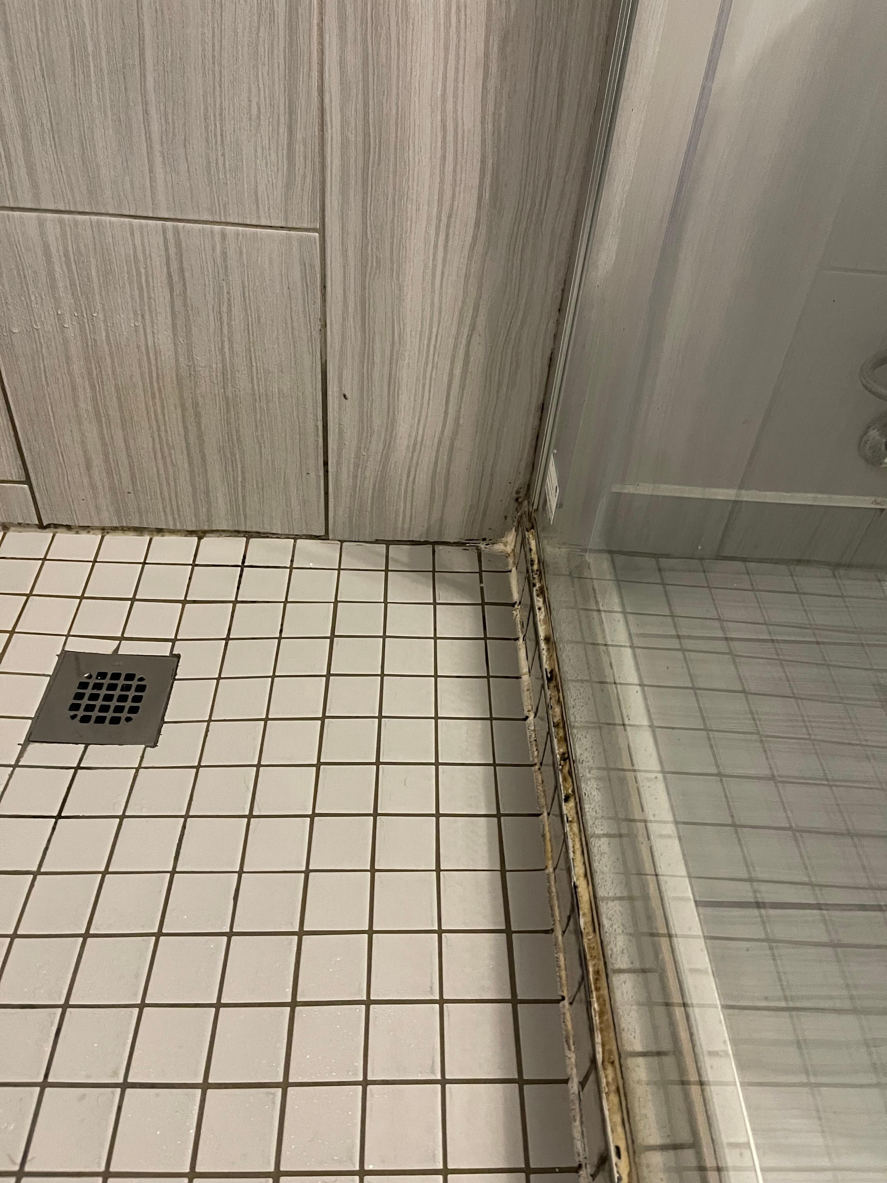 Dirty shower photo included in hopes that management does something about it.
