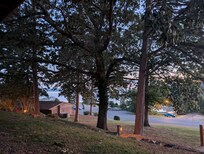 Morning view