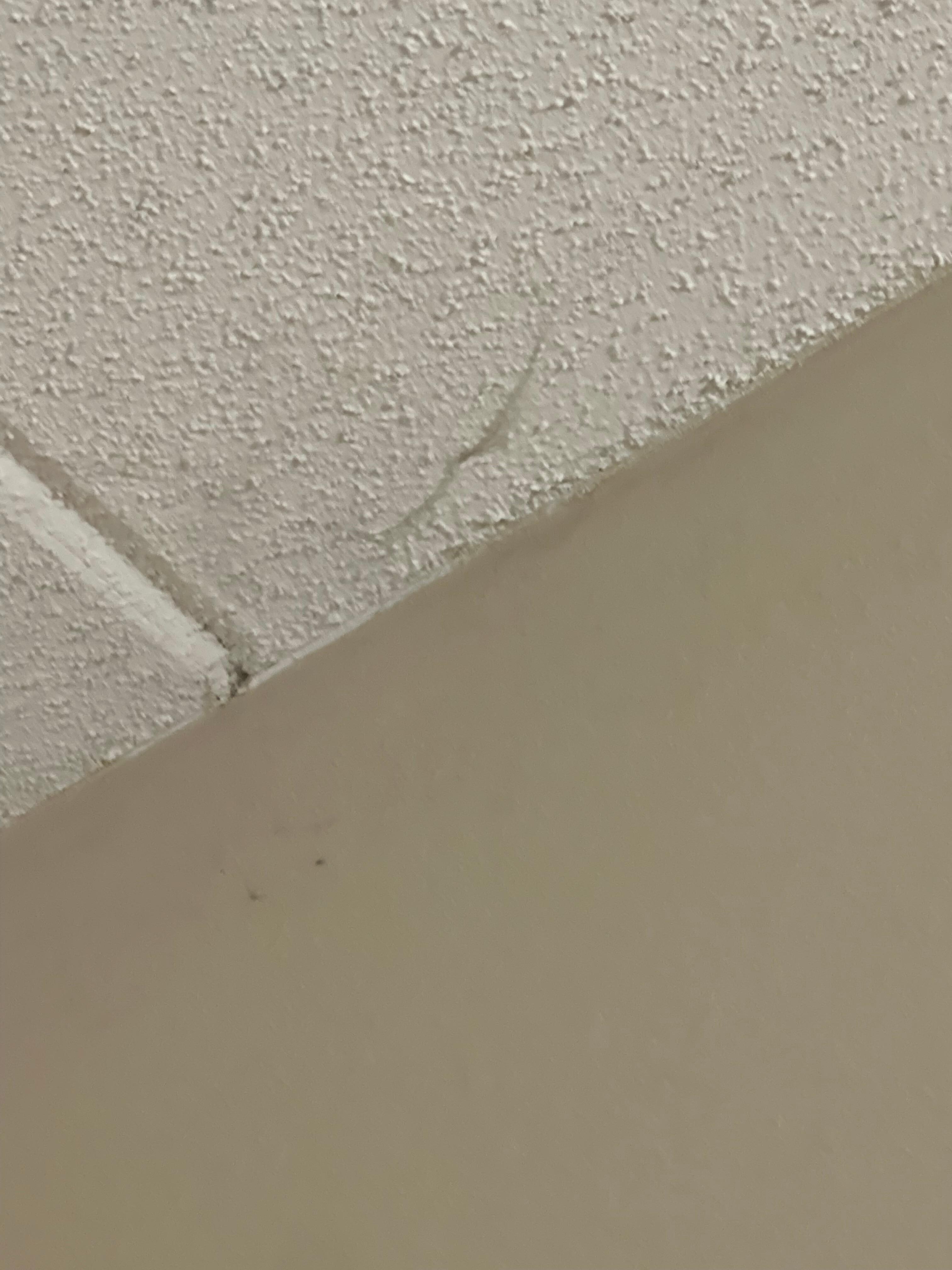 Spider webs