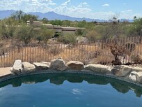 Pool with view