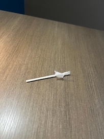 Found this lollipop stick in our bed