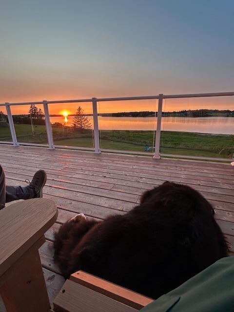 Max resting