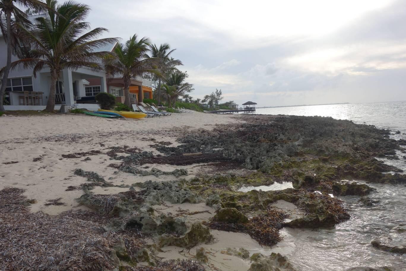 The rocky beach
