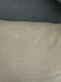 Drool on throw pillow