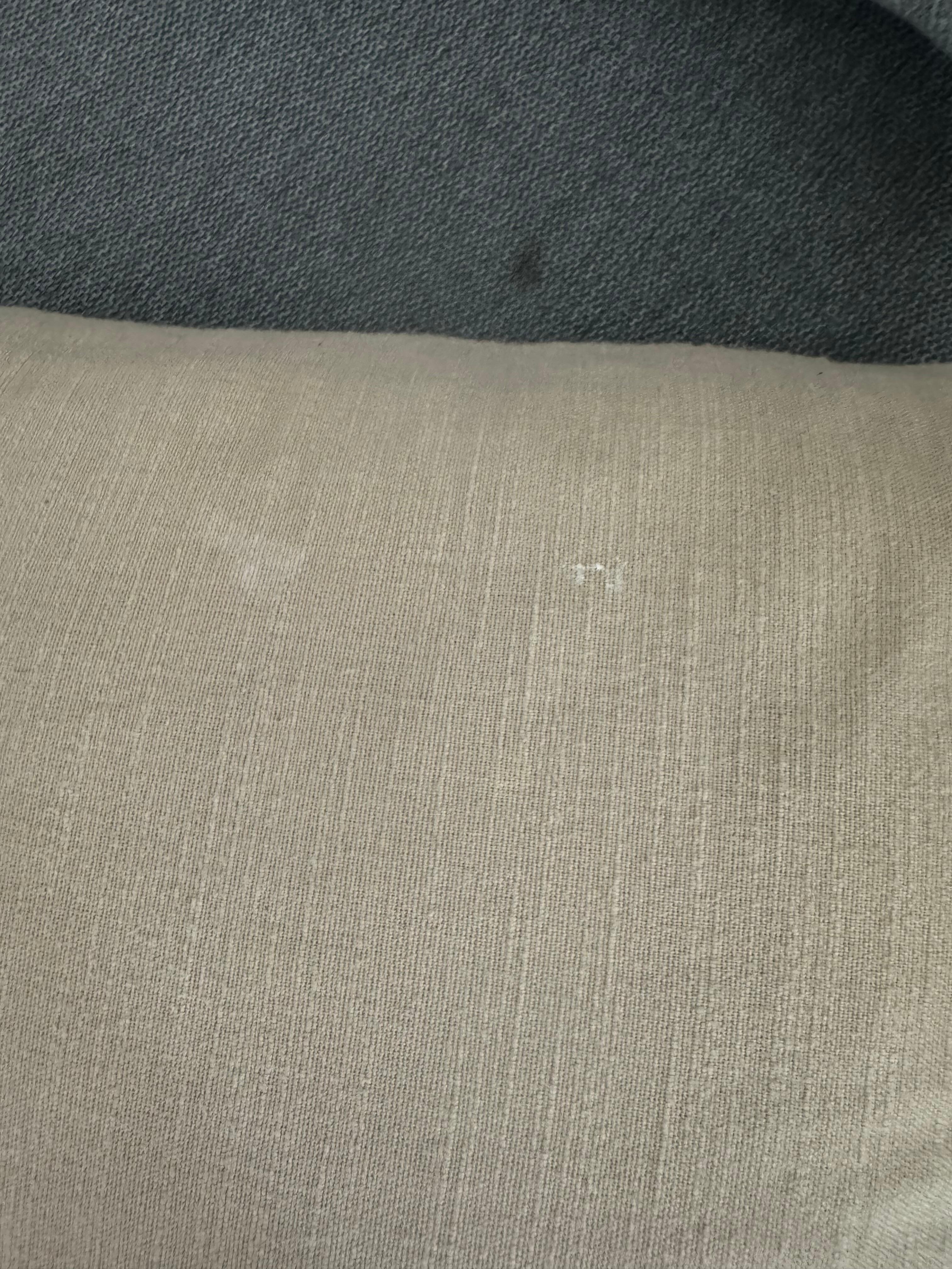 Drool on throw pillow 