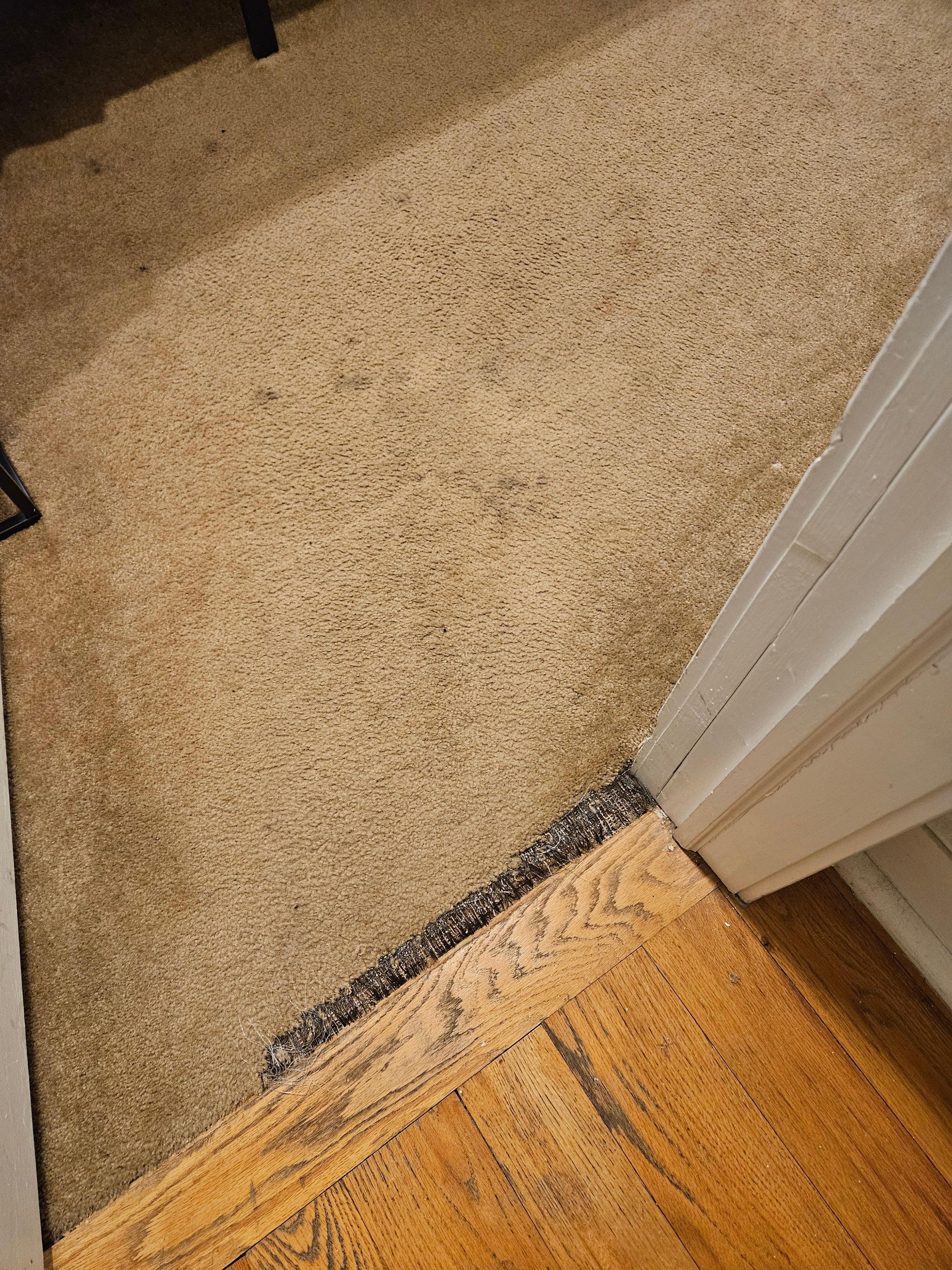 Stained, worn carpeting in bedroom.