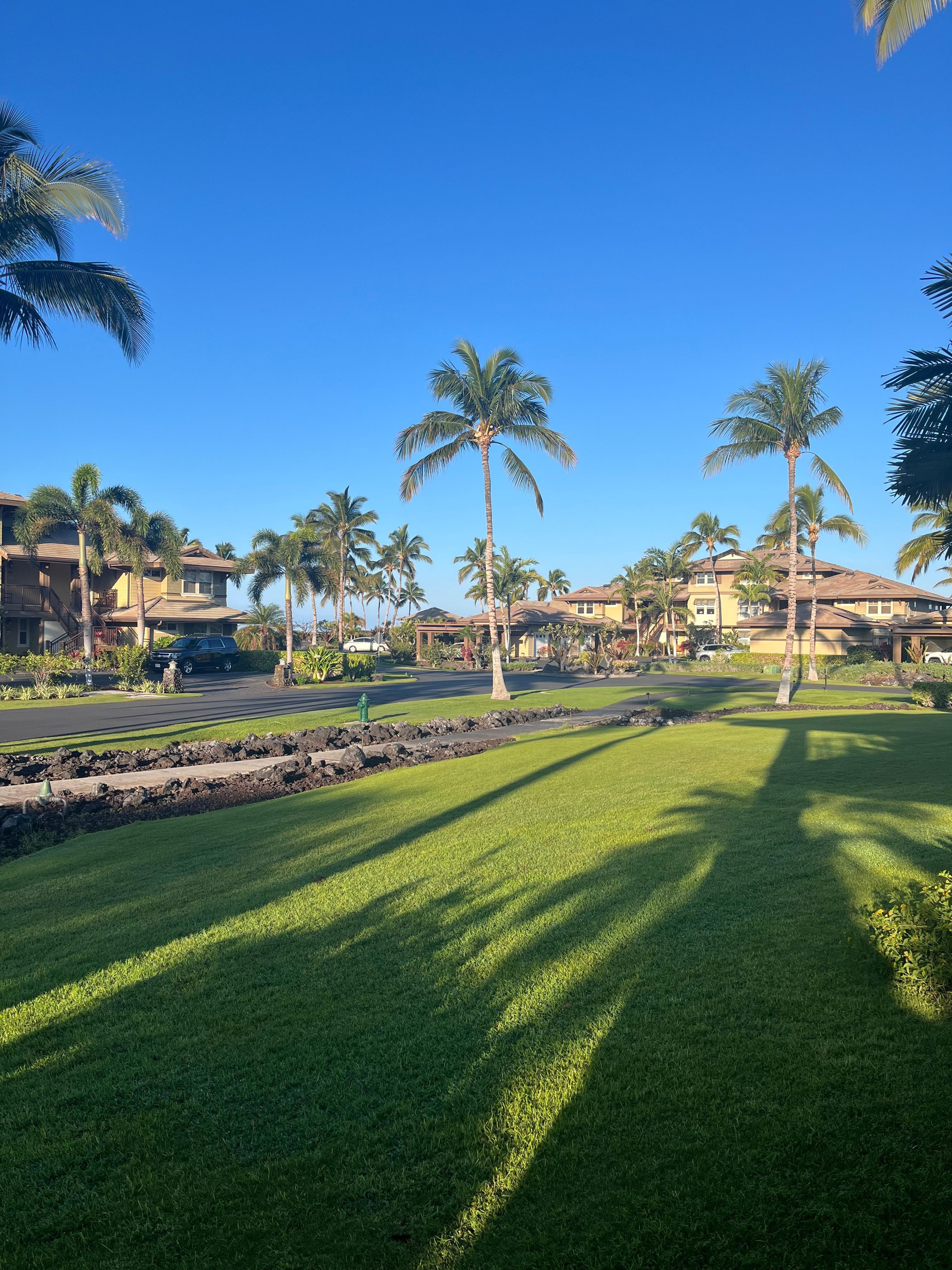 View of condos from ocean path