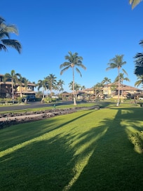 View of condos from ocean path