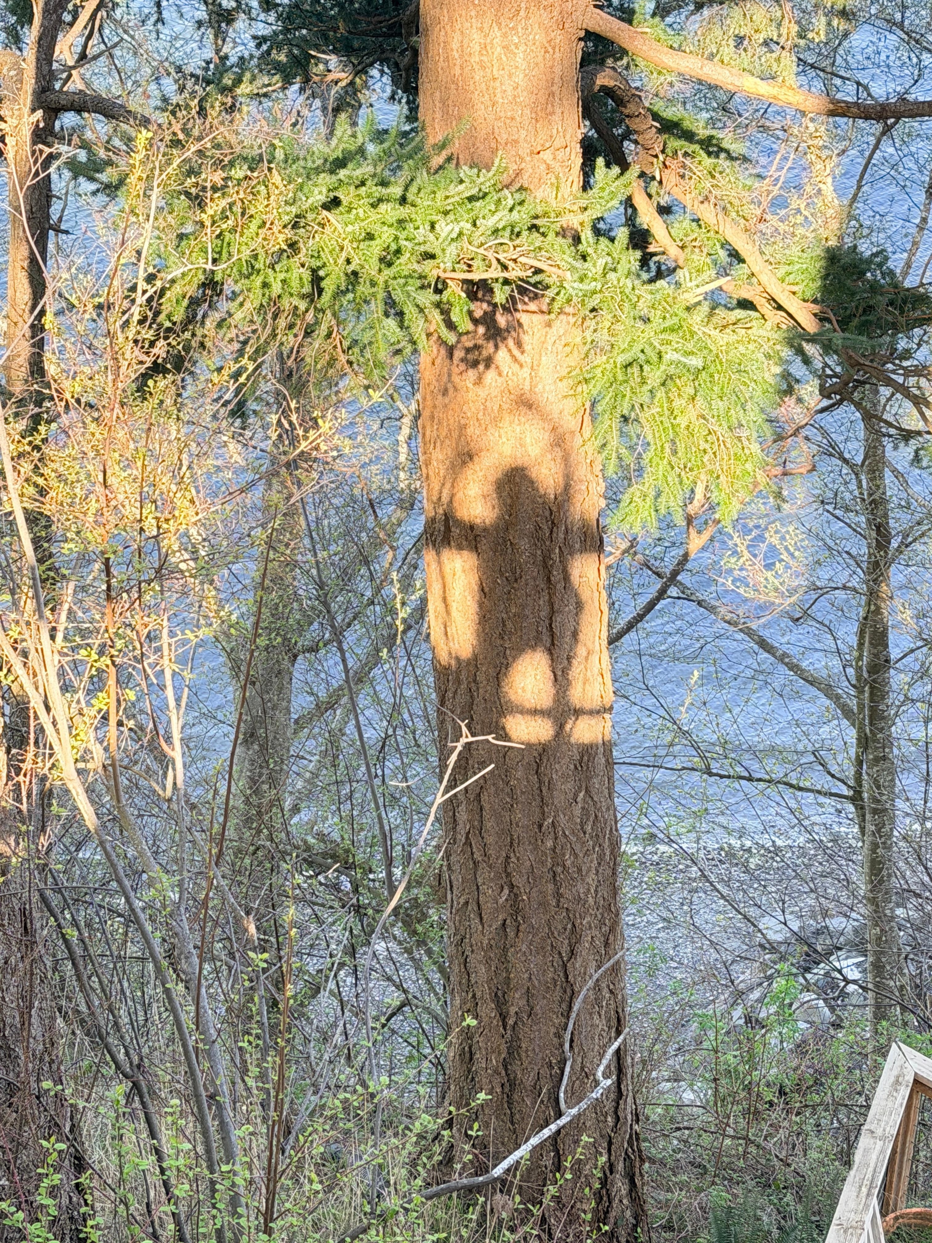 We loved the fire pit and deck, too. Some fun with shadows.