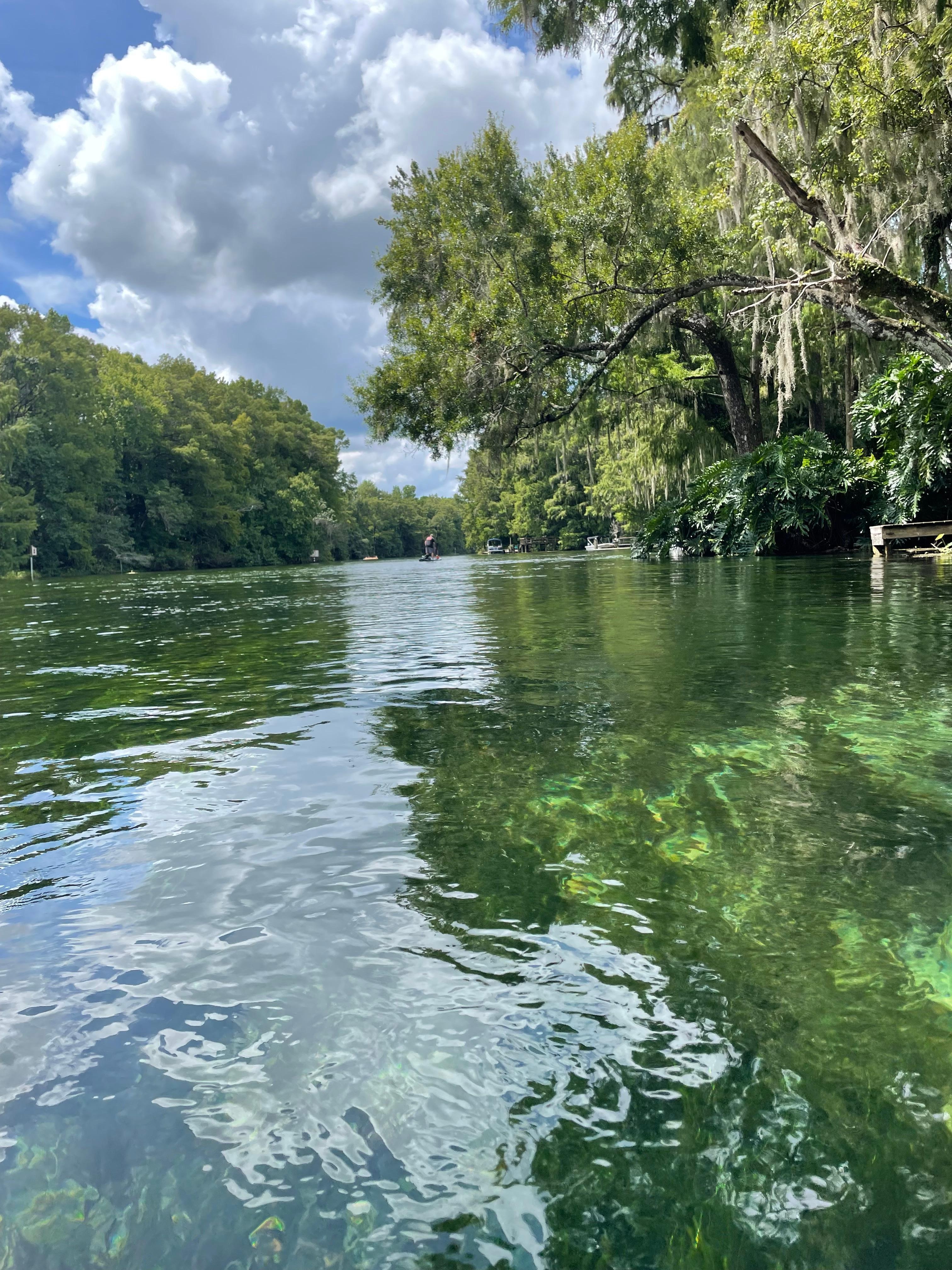 Pontoon boat on Rainbow Springs 