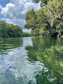 Pontoon boat on Rainbow Springs
