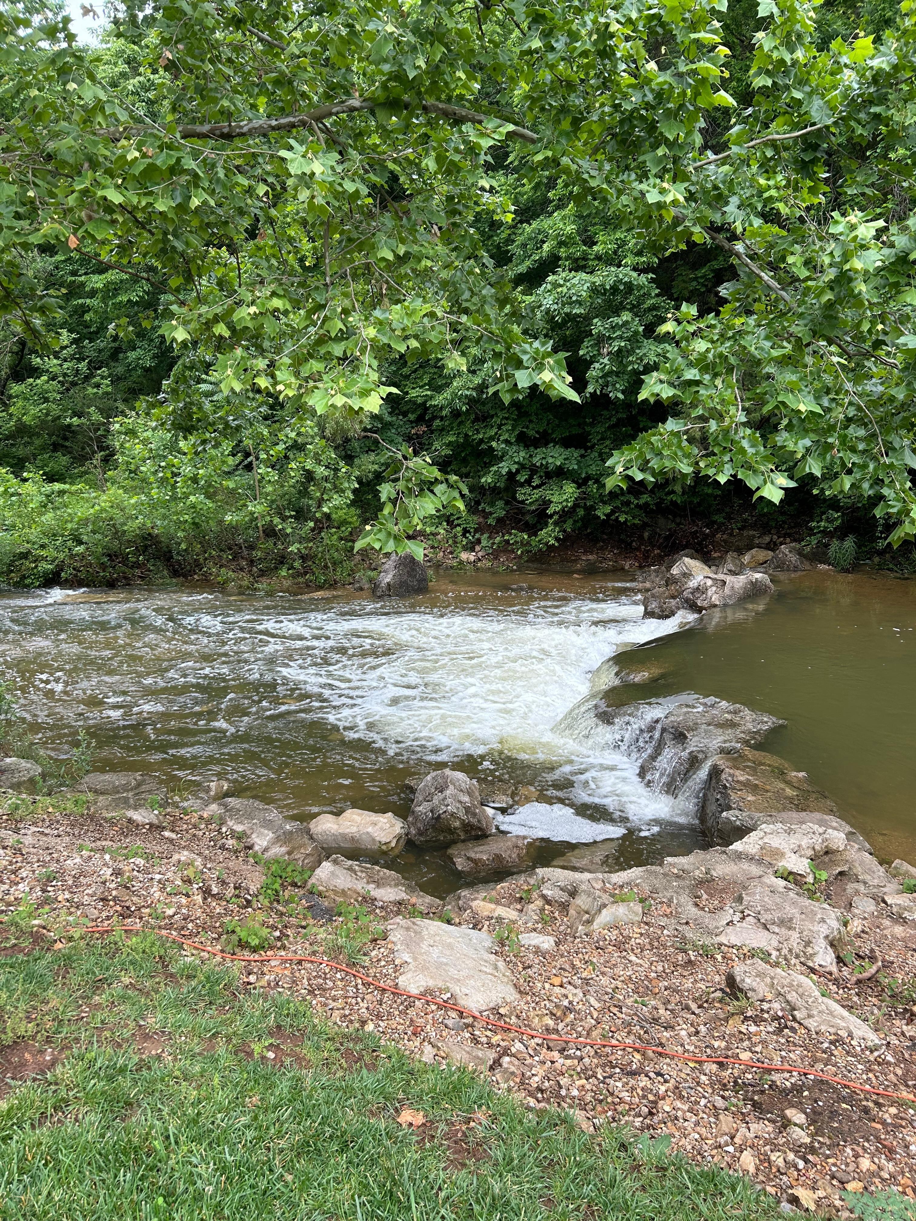 Water