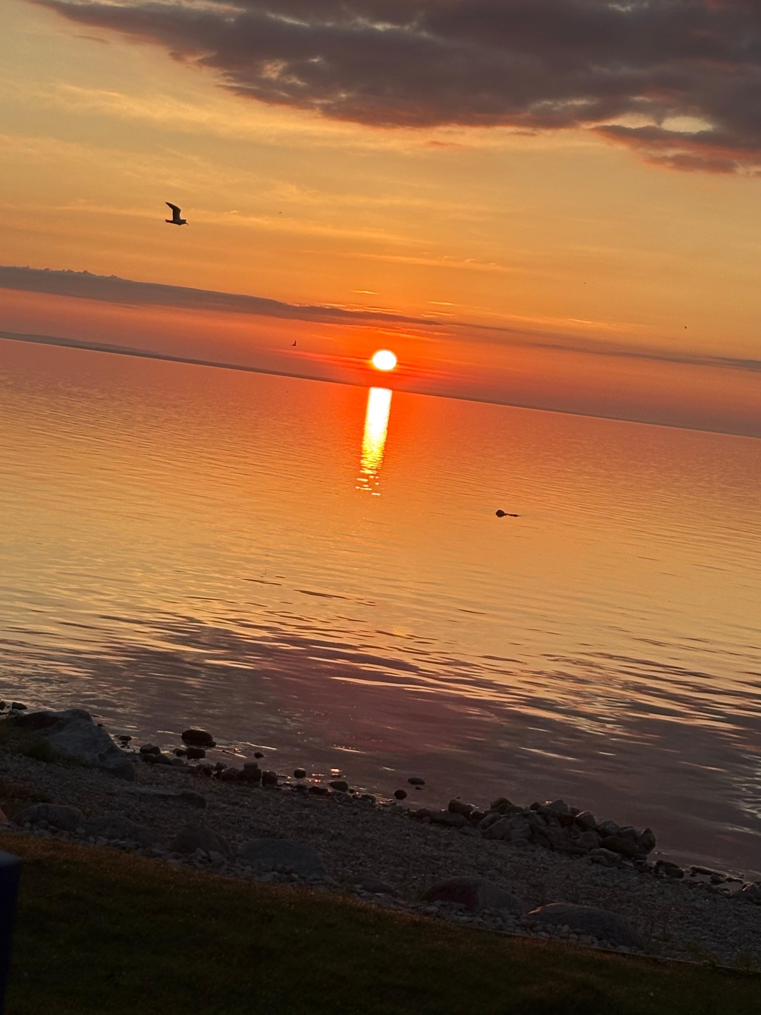Lake Heron sunrise from Ontario Building.