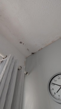 Mold bedroom