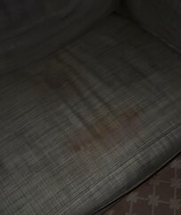 Blood on couch