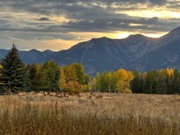 Elk visitors and view from back of house at sunset