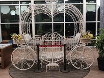 Cinderella's photo opportunity