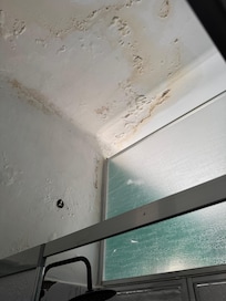 More mold on the ceiling