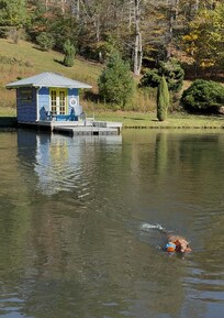 Pond, boathouse, and our Lab in her element