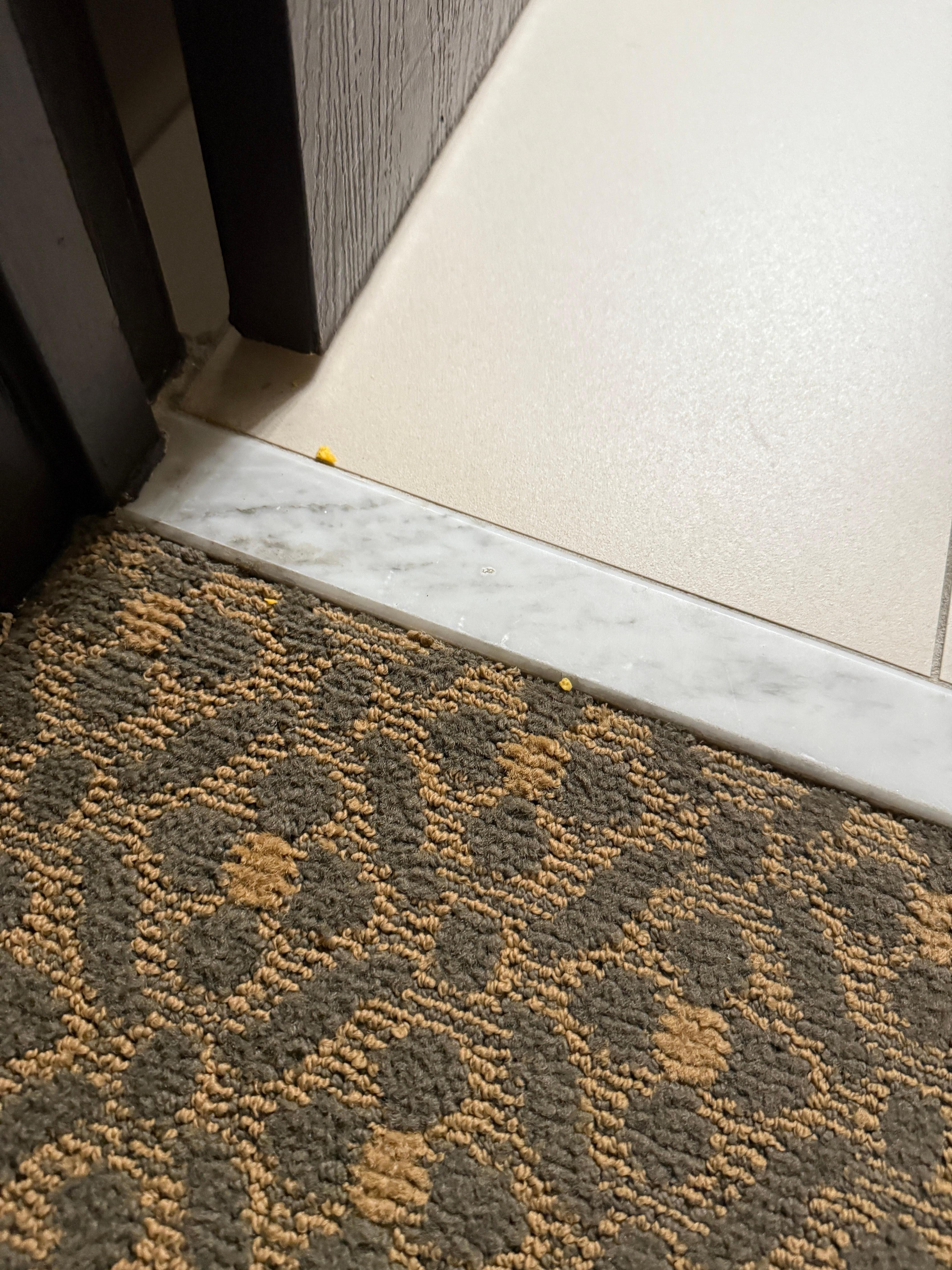 Crumbs on the floor, looks like cheeze its or the like. An unwelcome welcome gift.