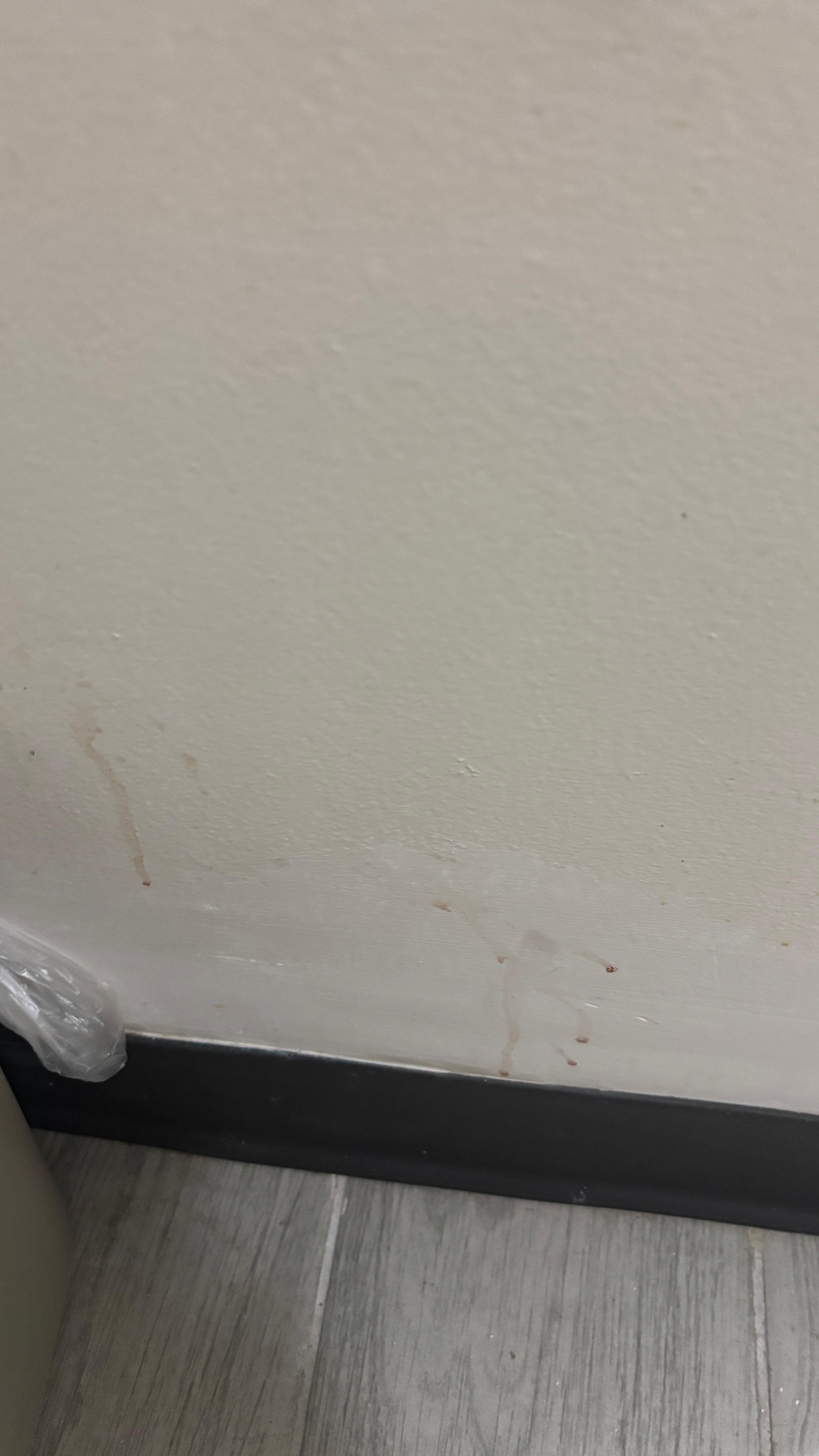 Stains on the bathroom wall.