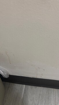 Stains on the bathroom wall.
