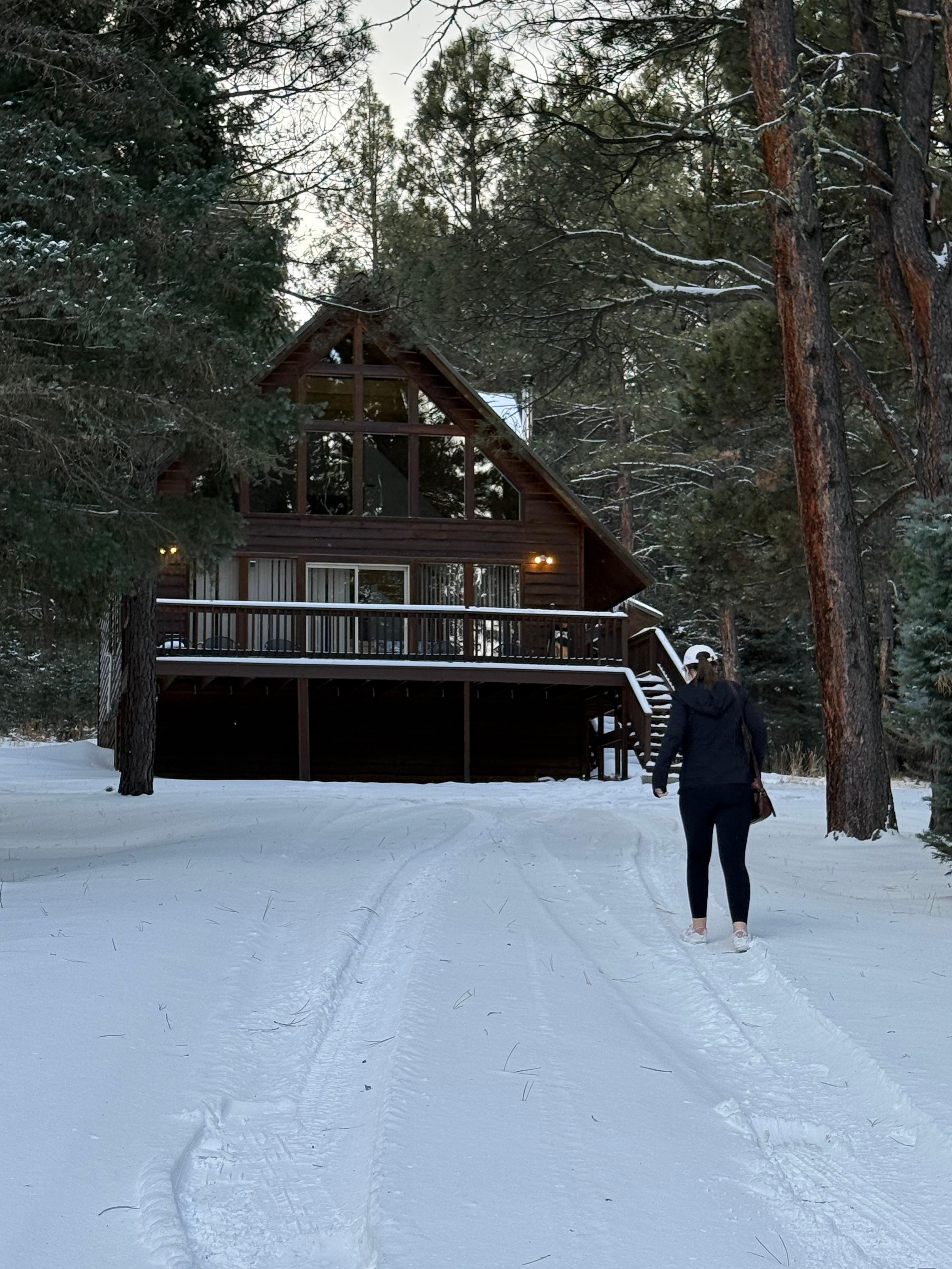 Walking to check out the property while waiting on the snowplow