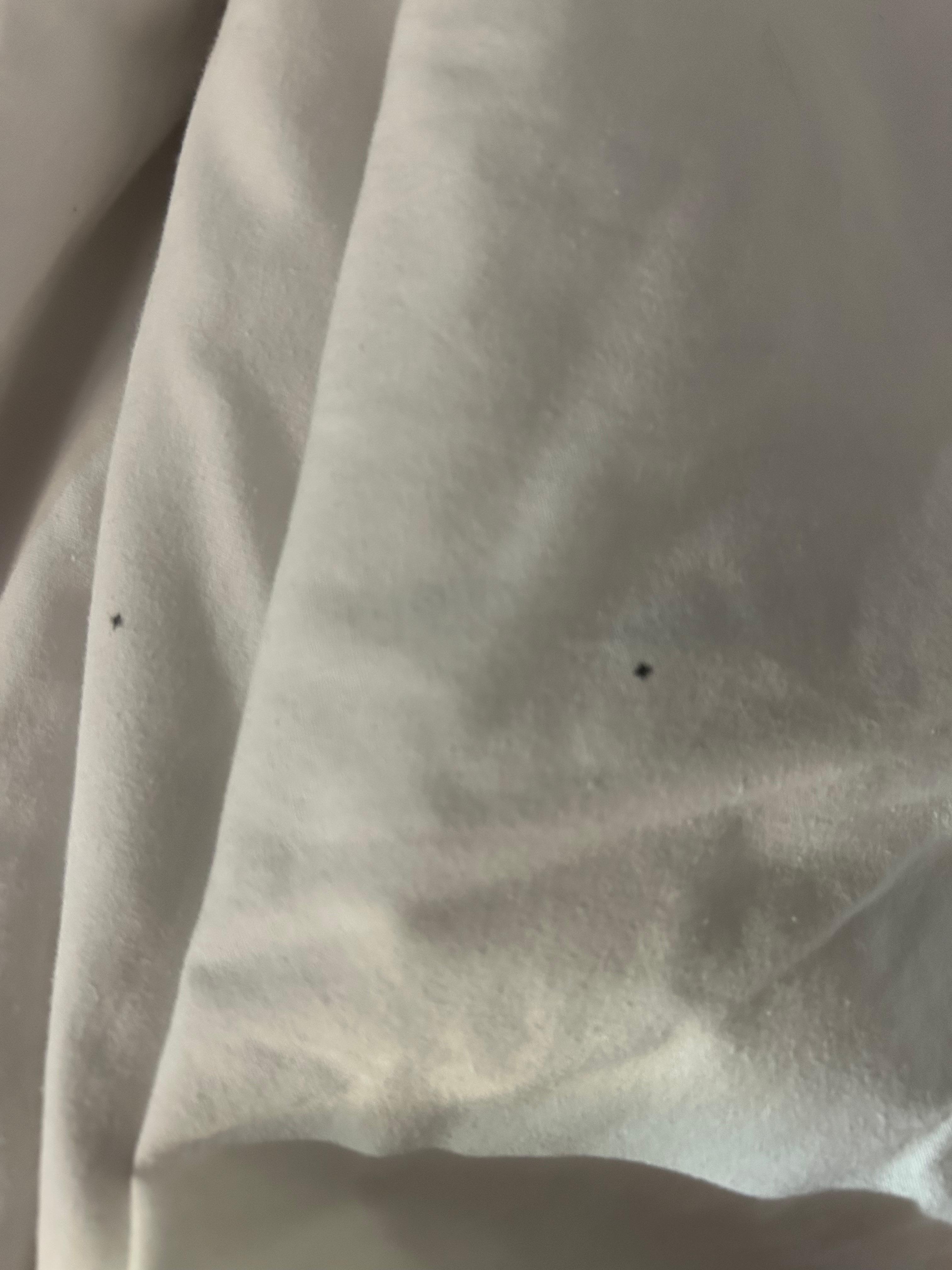 Bed bug stains 