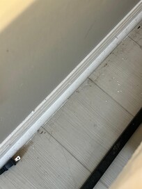 Dust, dirt, hair at floorboards