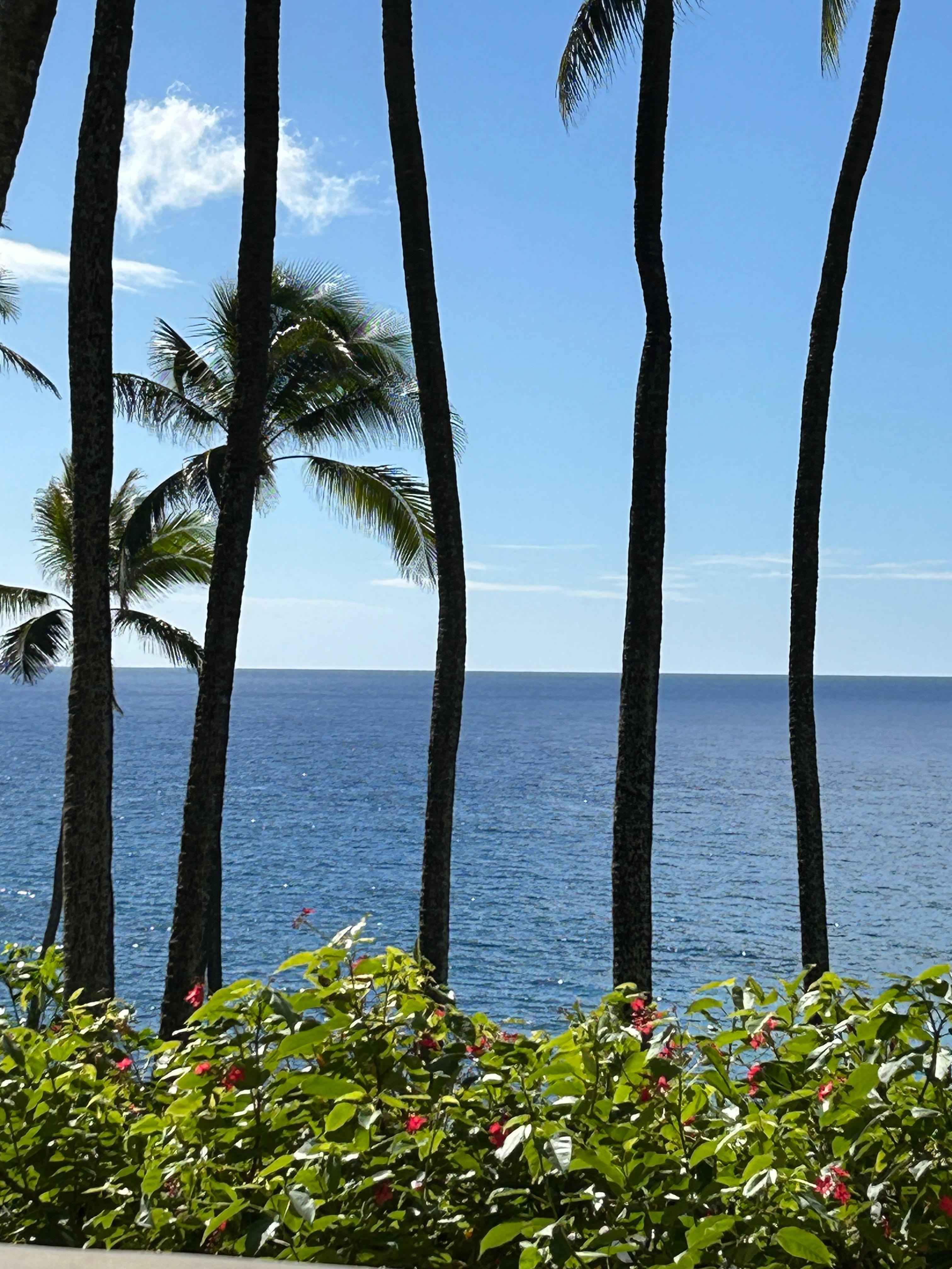 View from condo deck